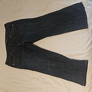 American eagle dark denim artist crop